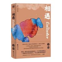 相遇（格非作品系列）
