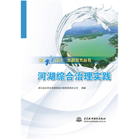 河湖综合治理实践（浙水设计-水利技术丛书 ）