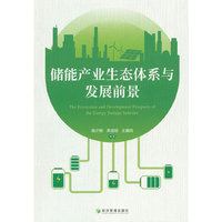 储能产业生态体系与未来前景