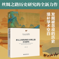 唐元之间的西域与丝绸之路历史研究 北京大学人文学科文库北大中国史研究丛书