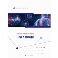正常人体结构