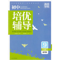 初中培优辅导九年级数学