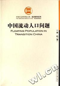 中国流动人口问题/经济研究系列/中国社会科学院文库