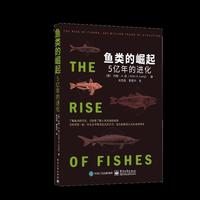 鱼类的崛起：5亿年的进化