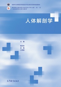 人体解剖学