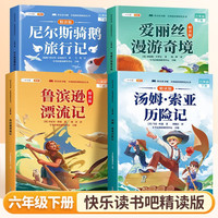 斗半匠快乐读书吧六年级下册鲁滨逊漂流记汤姆索亚历险记爱丽丝漫游奇境尼尔斯骑鹅旅行记课外阅读书（4册）