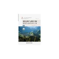 碳达峰与碳中和：研究方法和分析工具