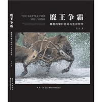 鹿王争霸：麋鹿的繁衍密码与生存哲学