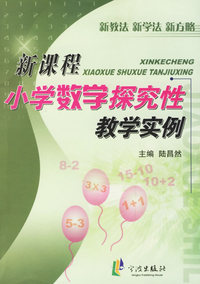 新课程小学数学探究性教学实例