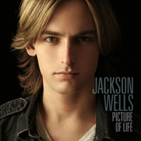 Jackson Wells：首张个人全新专辑《生命之画》（Picture of Life）(京东专卖)