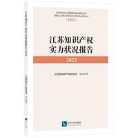 江苏知识产权实力状况报告2023