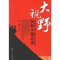 大视野-剖析中国企业