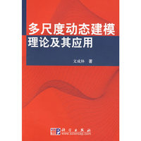 多尺度动态建模理论及其应用