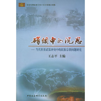 硝烟中的沉思：当代世界武装冲突中的民族宗教问题研究