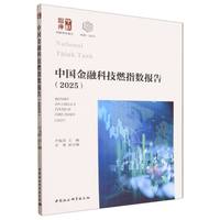 中国金融科技燃指数报告（2025）