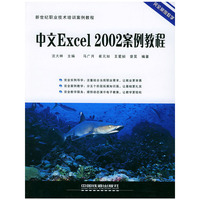 中文Excel2002案例教程/新世纪职业技术培训案例教程