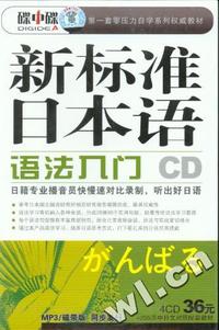 碟中碟-新标准日本语 语法入门（CD版）