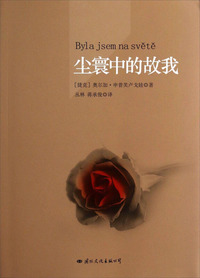 尘寰中的故我