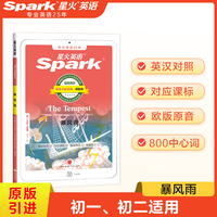暴风雨（初中二级）2021