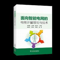 面向智能电网的电能计量理论与技术
