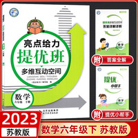 2023春亮点给力提优班多维互动空间六年级数学下册江苏版小学6年级同步课时单元期中期末训练习册教辅资料