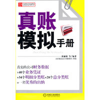 真账模拟手册