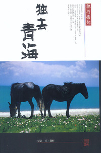 独去青海 独行西部