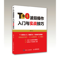 T+0波段操作入门与实战技巧