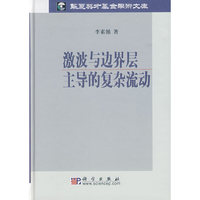 激波与边界层主导的复杂流动