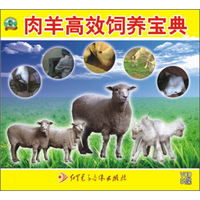 肉羊高效饲养宝典（5VCD）