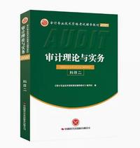 2020审计理论与实务(科目二)
