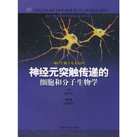 神经元突触传递的细胞和分子生物学
