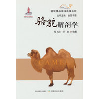 骆驼解剖学