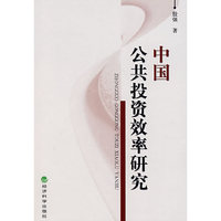 中国公共投资效率研究