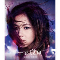 邓紫棋 / 一路逆风(Blu-ray)