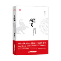 细说岳飞