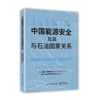 中国能源安全及其与石油国家关系
