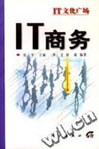IT--商务