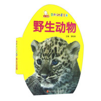 野生动物/奇妙的蛋蛋书