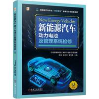 新能源汽车动力电池及管理系统检修 行云新能科技(深圳)有限公司
