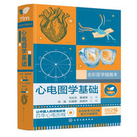 心电图学基础