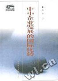 中小企业发展的国际比较