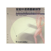 实验针灸表面解剖学-针灸学与表面解剖学影像学的结合