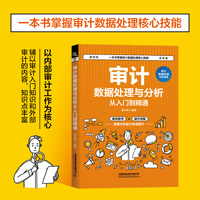 审计数据处理与分析从入门到精通