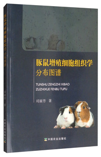 豚鼠增殖细胞组织学分布图谱