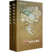 滕州前掌大墓地（上下册）