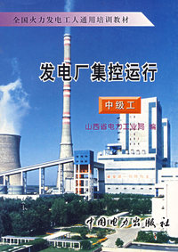 发电厂集控运行：中级工
