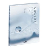 光盏里的蜜蜂