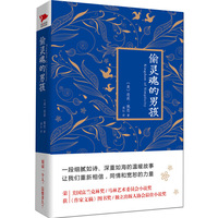 偷灵魂的男孩(精装)