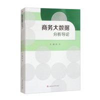 商务大数据分析导论